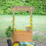 Kindergartenfotografie Herbertshofen Limonadenstand