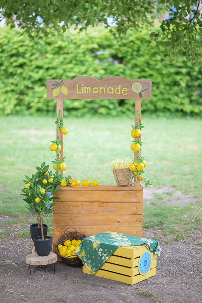 Kindergartenfotografie Herbertshofen Limonadenstand